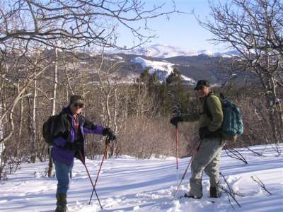 On the trail