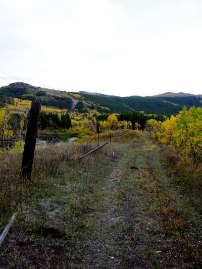 Explore our nature trail which takes you to an active beaver pond.